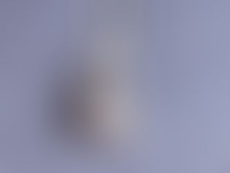 Item #50, LADIES 14KT. WHITE GOLD & DIAMON PENDANT WITH 23 " 14 KT WHITE GOLD NECKLACE