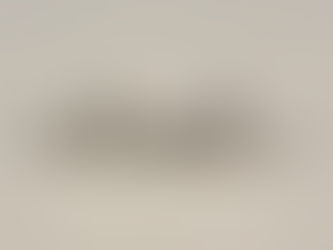 Item # 138,  LADIES BRILLIANT DIAMOND    14KT. WHITE GOLD CLUSTER PIERCED EARRINGS