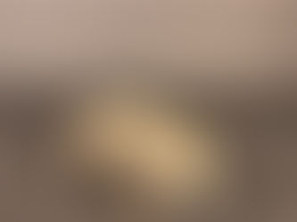 Item # 139, CAST/CARVED "WOLF" FIGURE BY BENICE JONES: