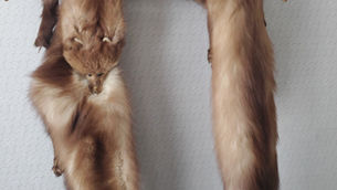 Item # 59, VINTAGE MINK STOLE: c.1960's-70's 
