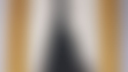 Item #95, SILHOUETTE OF A LADY "MONSIEUR" EDGAR ADOLPHE