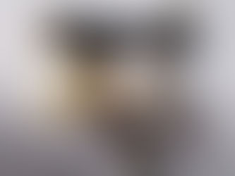 Item #41, LADIES IOKT. WHITE GOLD PEARL AND SAPPHIRE