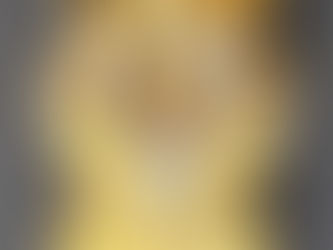 Item #53, LADIES 14KT. YELLOW GOLD AND DIAMOND 17 JEWEL "GENEVA" BRACELET WATCH