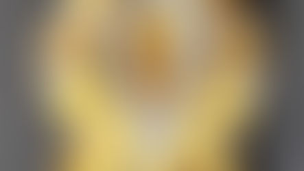 Item #53, LADIES 14KT. YELLOW GOLD AND DIAMOND 17 JEWEL "GENEVA" BRACELET WATCH