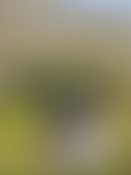 Kako izabrati stazu za planinarenje sa decom?