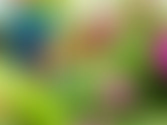 Domenica 2 marzo arte e natura al Museo Regionale di Messina