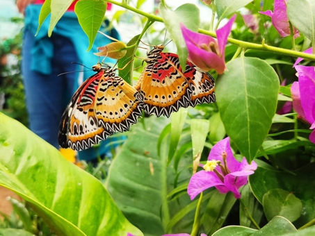 Domenica 2 marzo arte e natura al Museo Regionale di Messina