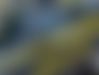 Acr Messina: indaga la Guardia di Finanza