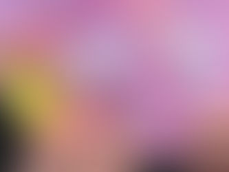 8 Marzo, Cpo: “Ancora troppi pregiudizi e diseguaglianze per le donne giornaliste”