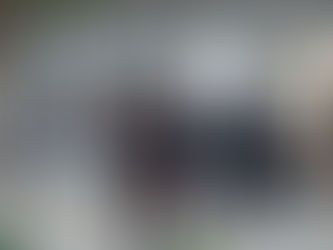 Truffa all’Unione Europea 2 imprenditori agricoli sotto la lente dei Carabinieri per la tutela agroalimentare. Sequestrati oltre 160mila euro di beni e denaro, in provincia di Messina.