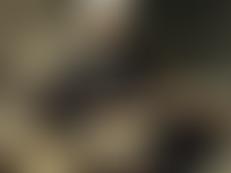 67. Follow the moeny זו עצתי לאיראן