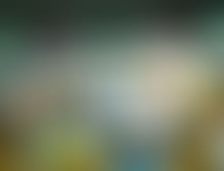 80. תוכנת המסחר היא "ידידתו" הטובה של הסוחר