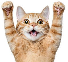 Design sem nome (4)_edited_edited.png