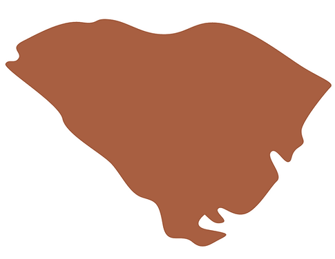 Untitled design (2).png