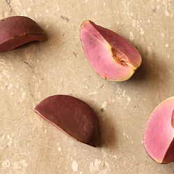 Obi abata (kola nut)