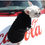 Thumbnail: Pullover hoodies for small dogs 