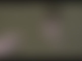 Squirrel nesting with toilet paper...