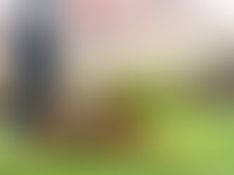 Garden Cleanup in Canberra: What You Need To Know About It?