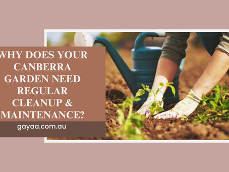 Gardening services Canberra, Garden Maintenance Canberra, Garden Cleanup Canberra,