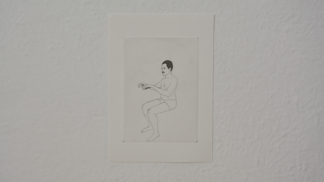 Corpo Animado