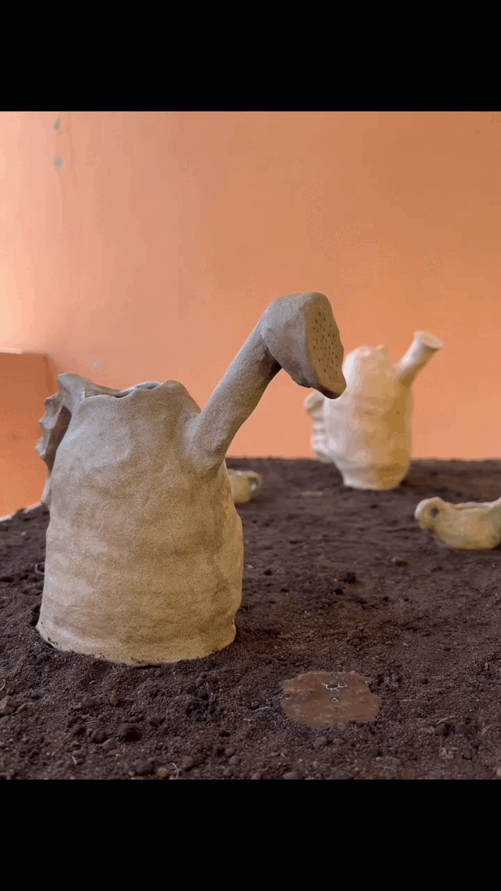 pingo 1.gif