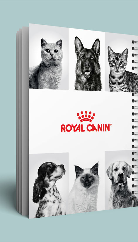 Spiral Booklet MOCKUP.jpg