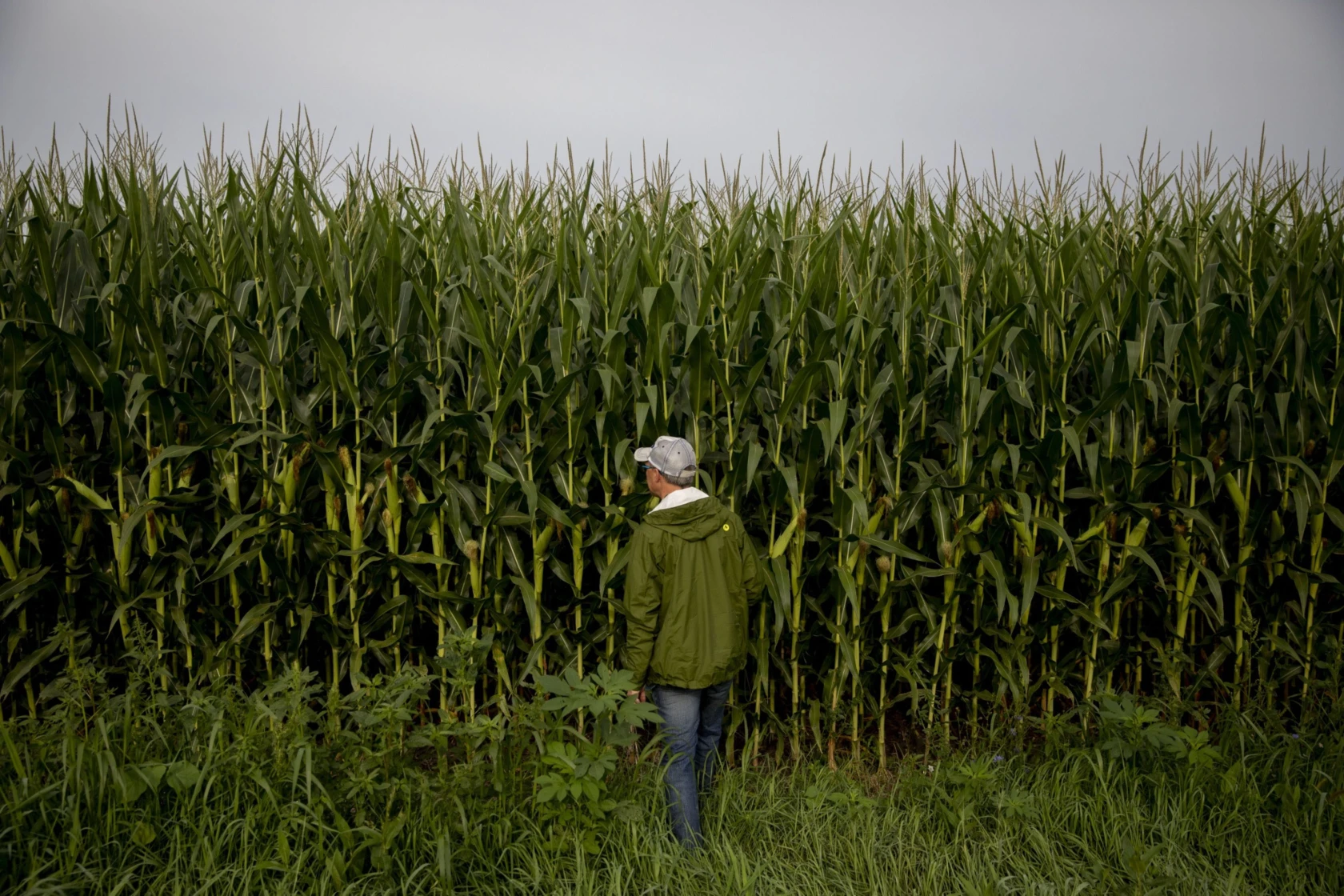 field scouting
