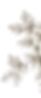 c34a39e7-1dce-4fe2-8790-7de078e5ac05_edited_edited.png