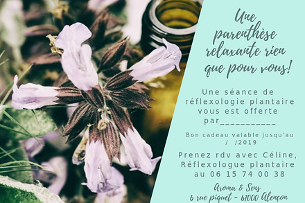 Réflexologie plantaire, alencon