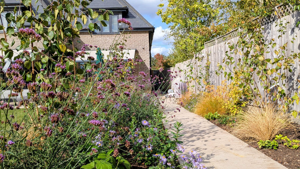 Flowers and a path with blue sky in a garden designed by Price Adams Studio