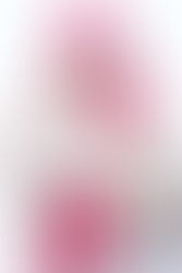 Tutorial Hijab Cantik Dengan Warna Ceria