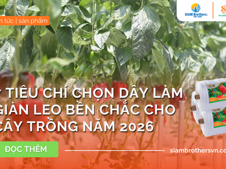 7 tiêu chí chọn dây làm giàn leo bền chắc cho cây trồng năm 2026