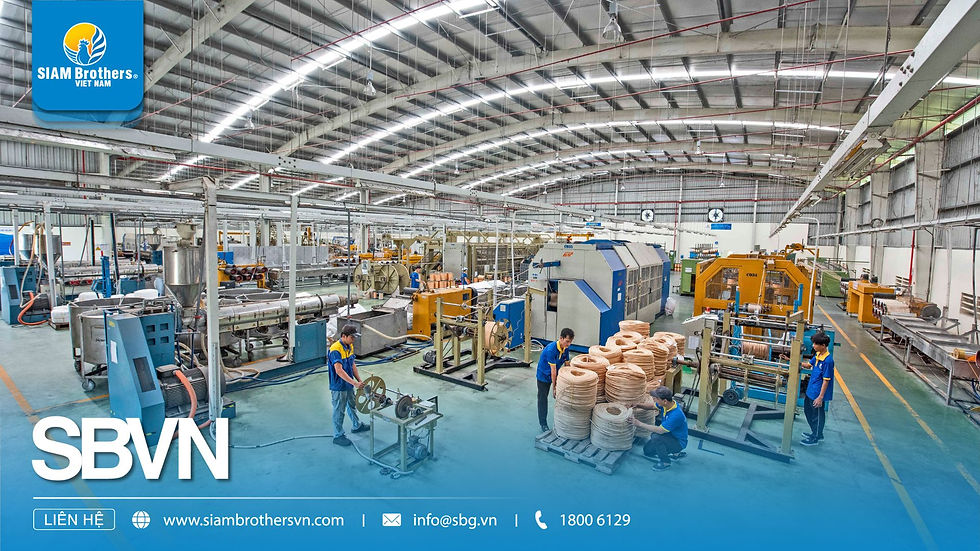 Nhu cầu lớn về dây thừng và lưới công nghiệp chất lượng cao tăng cao / Nguồn: Siam Brothers Việt Nam