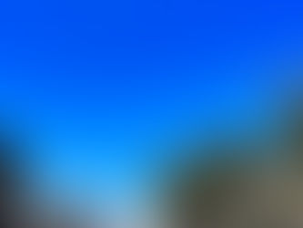 海が見える名和神社と植田正治写真美術館、森の中でハンバーガー作って、大山のススキと鍵掛峠の紅葉と🍁