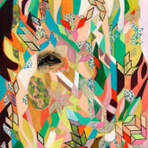 deerabstract_final_smaller.jpeg