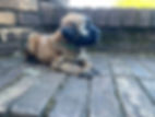 image1.jpeg