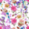 Honey_Bee_Garden_On_White.jpg