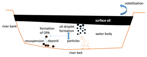 1/11/2023 Paper accepted for publication in Environmental Science: Processes & Impacts