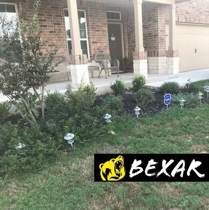 Flowerbed Full Of Weeds.