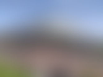 The AUAS and the Amsterdam Chess Open: a Natural Partnership