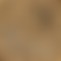 Rounds 3-4: FM Tim Grutter Sole Leader With 4/4