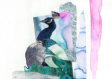 180826_0116_001%20(1)_2_edited_edited.jp