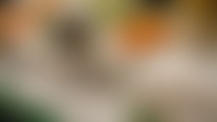 נזיפה בעקבות השרימפסים של קארו