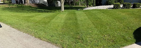 IMG_20200520_095005847_edited.jpg