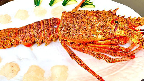 两吃活龙虾 LANGOSTAS EN 2 SALSAS
