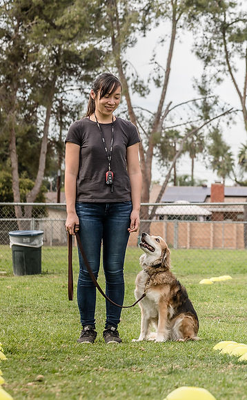 3C2EBB09-CEF9-492A-8694-C6B4DFE73B59-518