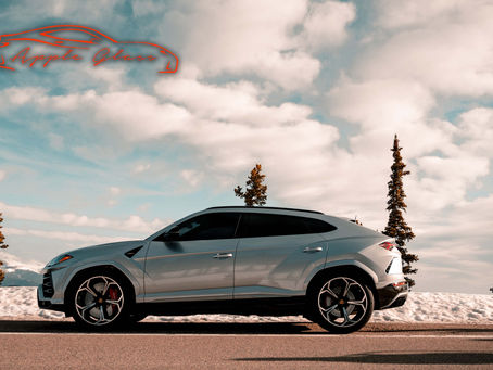Auto Paint Protection Film - Give the Perfect Gift of Protection