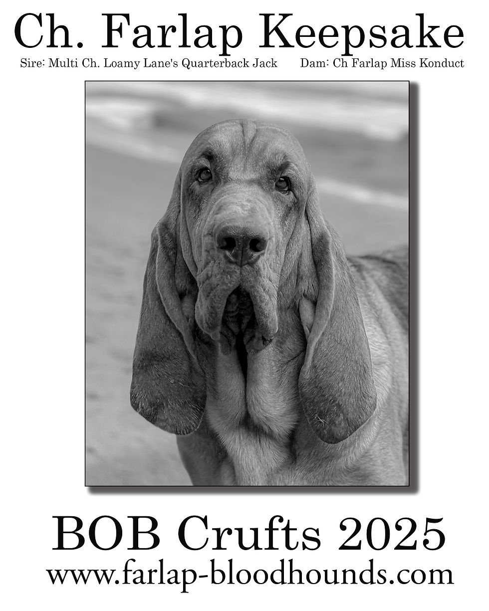 crufts catalogue ad 2026