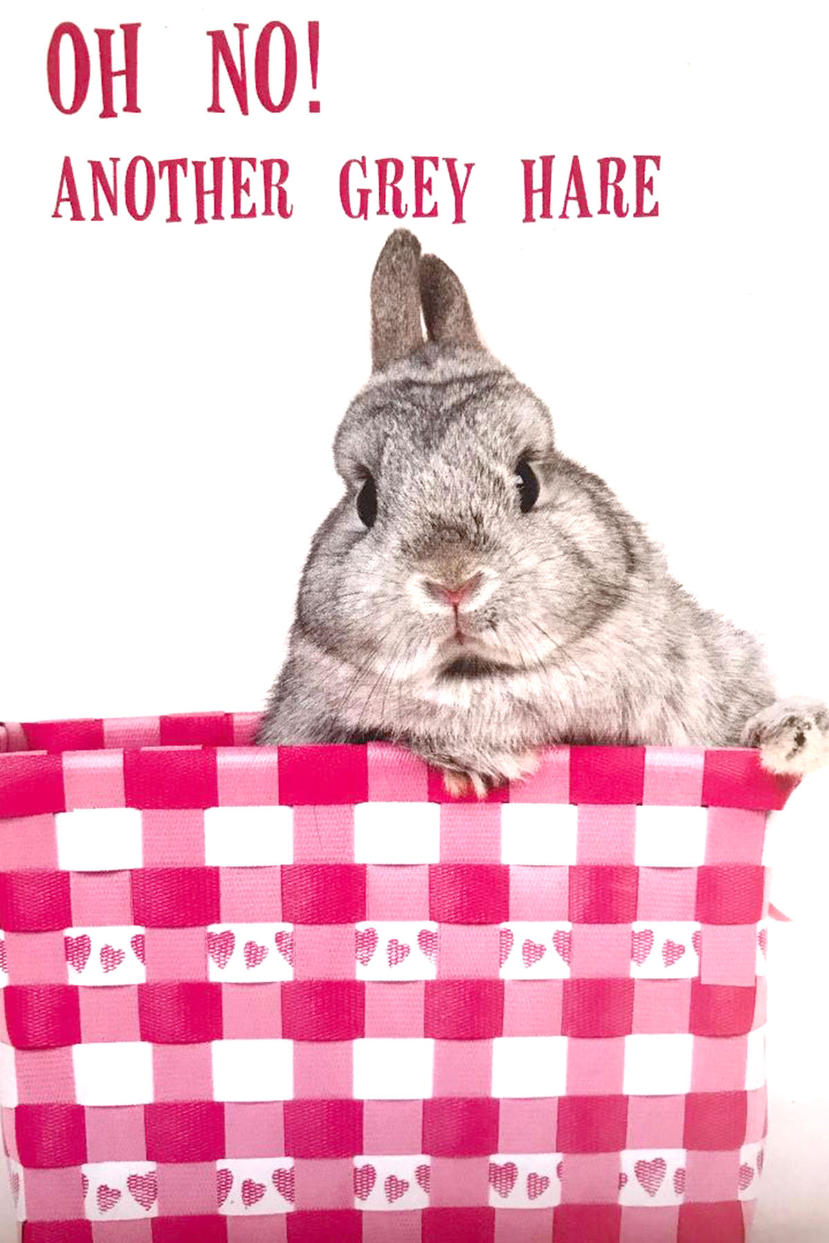 Grey Hare Birthday Card