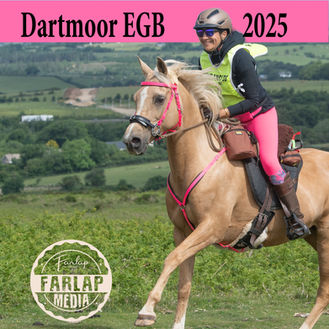 equestrian photographer, devon, equine photographer, photography, Devon, Cornwall, UK